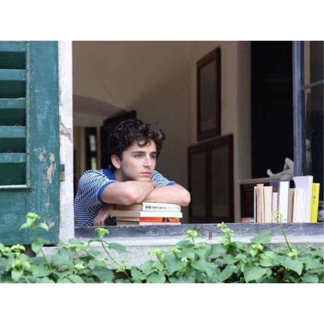  ne pas manquer Call Me By Your Name depuishellip