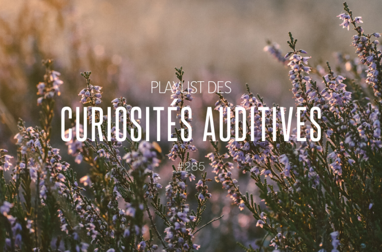 #285 Playlist des Curiosités Auditives
